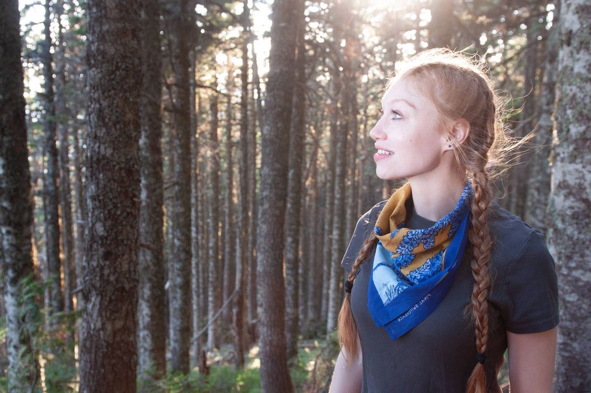 Alpine Lupine Fair Trade Cotton Bandana Blue and Yellow