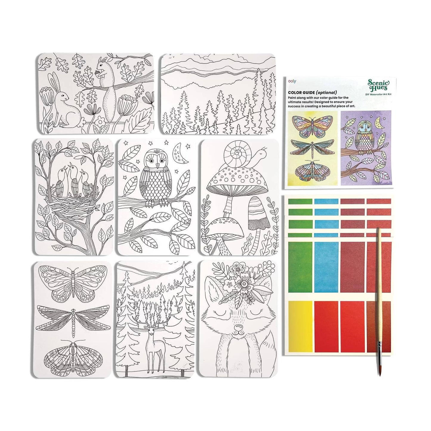 Watercolor Kit Forest Adventure