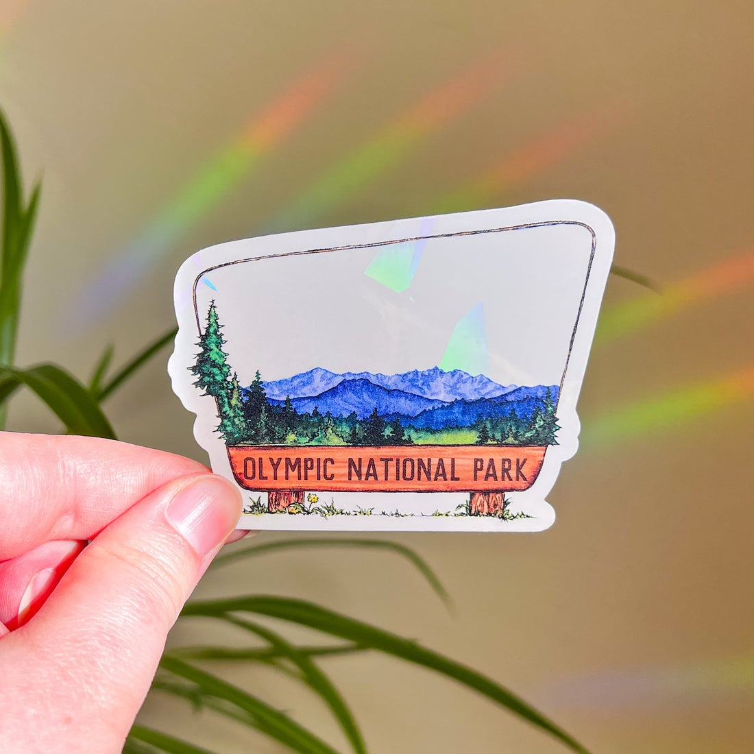 Olympic National Park Suncatcher Sticker