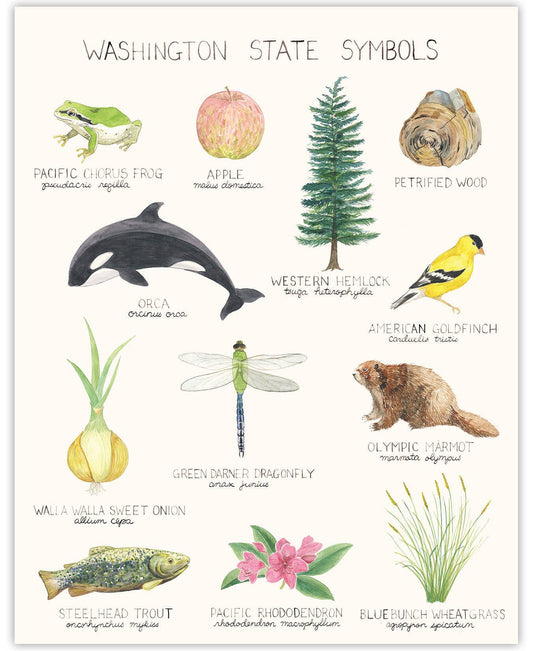 Washington State Symbols Print