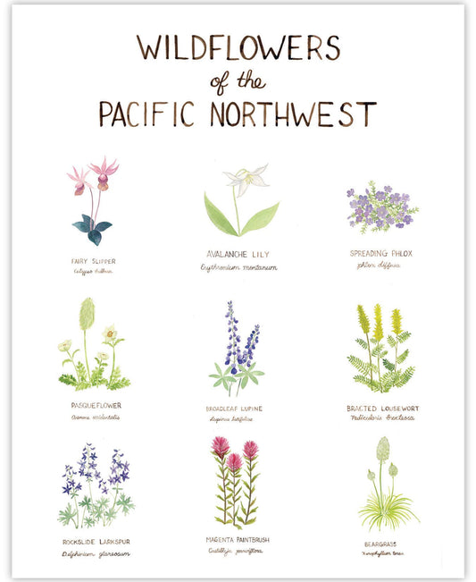 Pacific Northwest Wildflowers Print