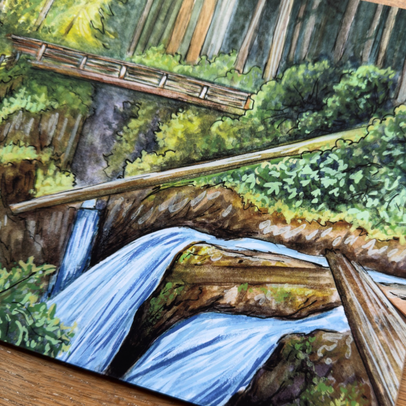 Sol Duc Falls Bridge Print 8x10