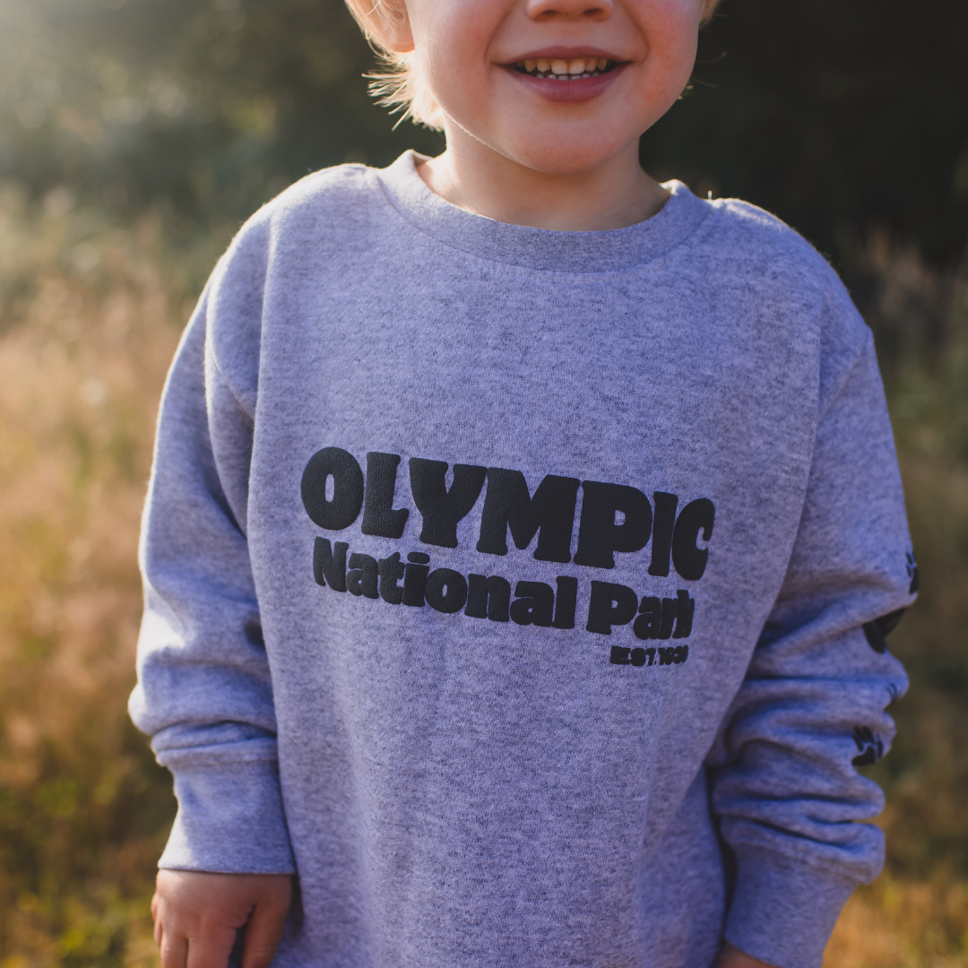 Olympic National Park Toddler & Youth Sweatshirt in Grey