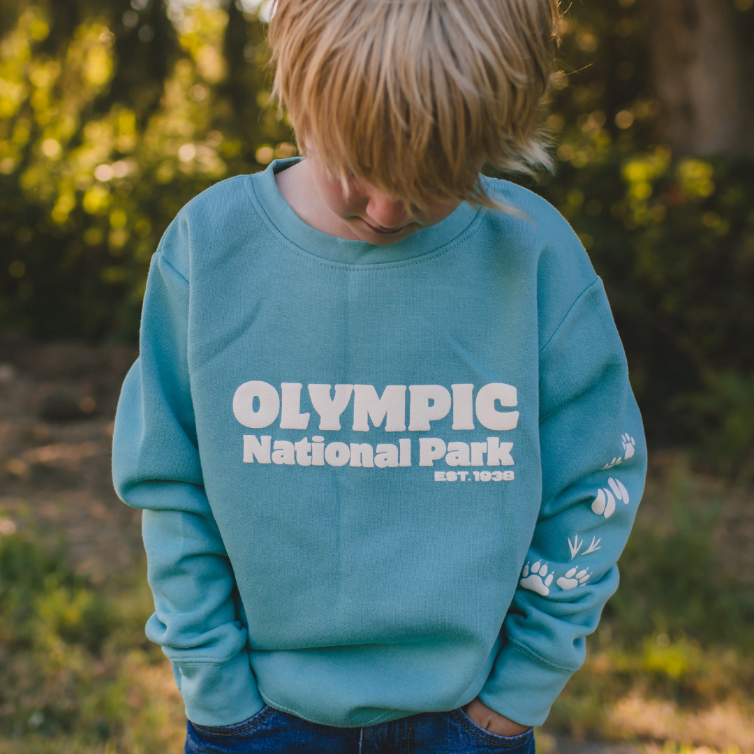 Olympic National Park Toddler & Youth Sweatshirt in Teal