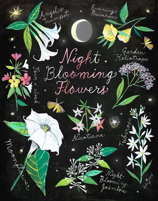 Night Blooming Flowers Print