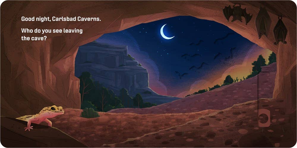 Good Night, National Parks Book