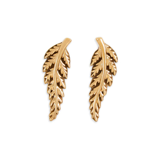 Sterling Silver or Bronze Fern Post Earrings 22x7mm