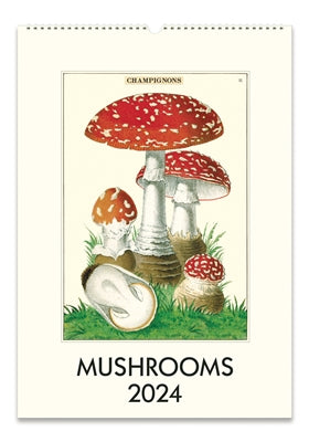 2024 Mushrooms Monthly Calendar