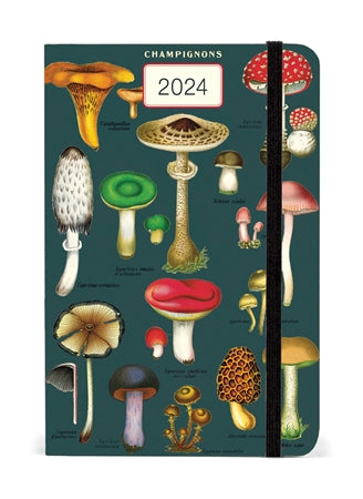 2024 Mushrooms Weekly Planner