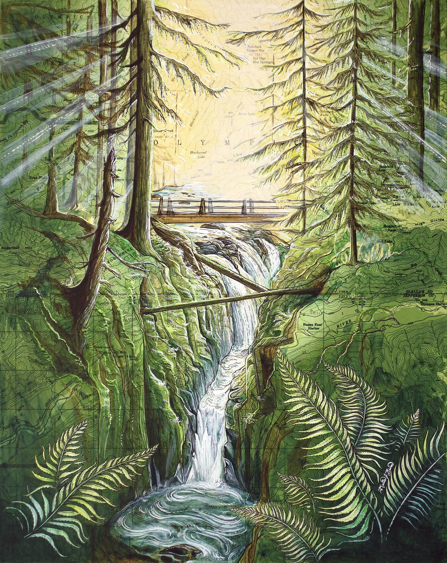 Sol Duc Falls Print