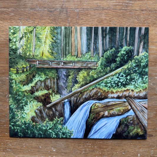 Sol Duc Falls Bridge Print 8x10
