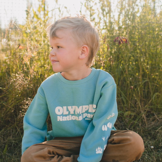 Olympic National Park Toddler & Youth Sweatshirt in Teal