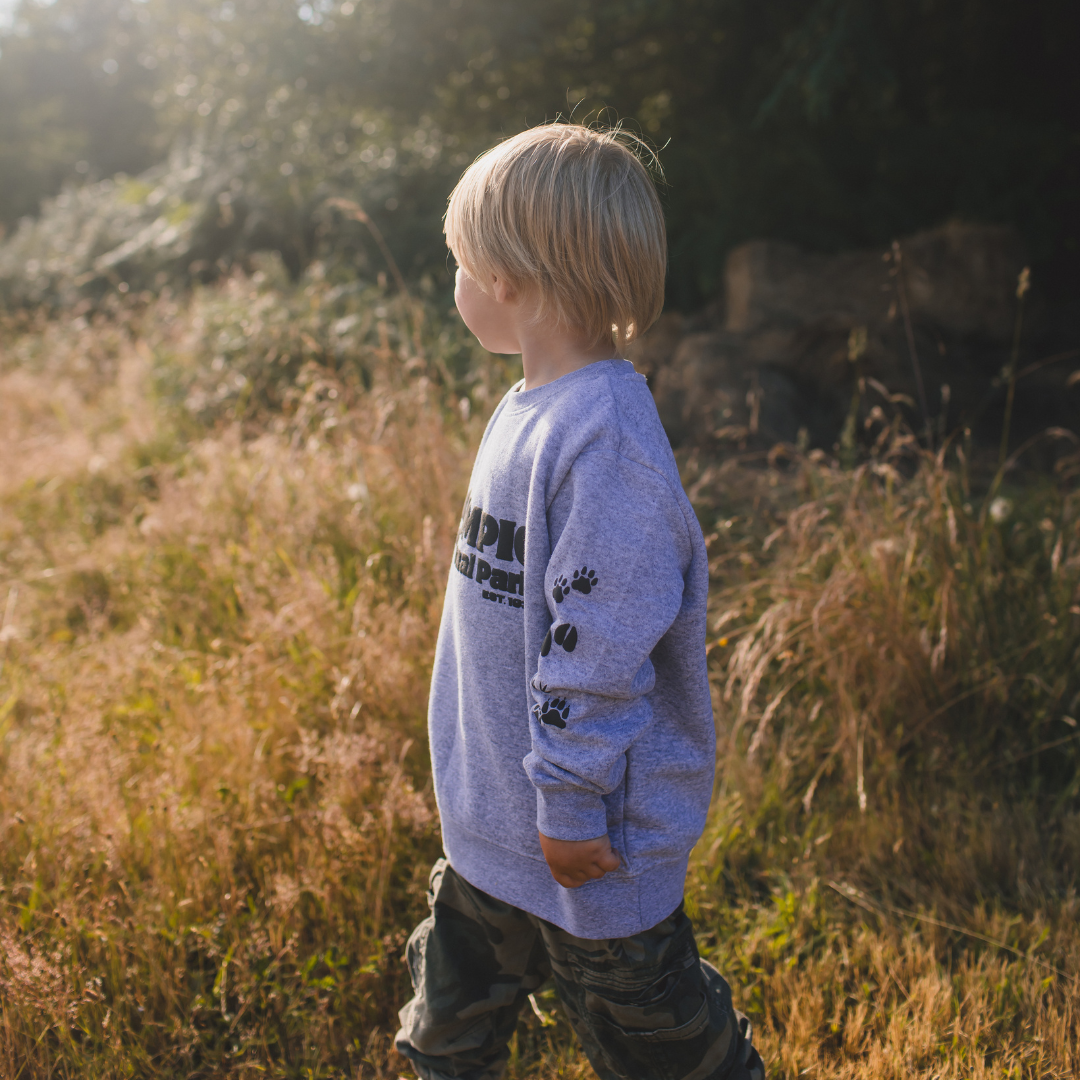 Olympic National Park Toddler & Youth Sweatshirt in Grey