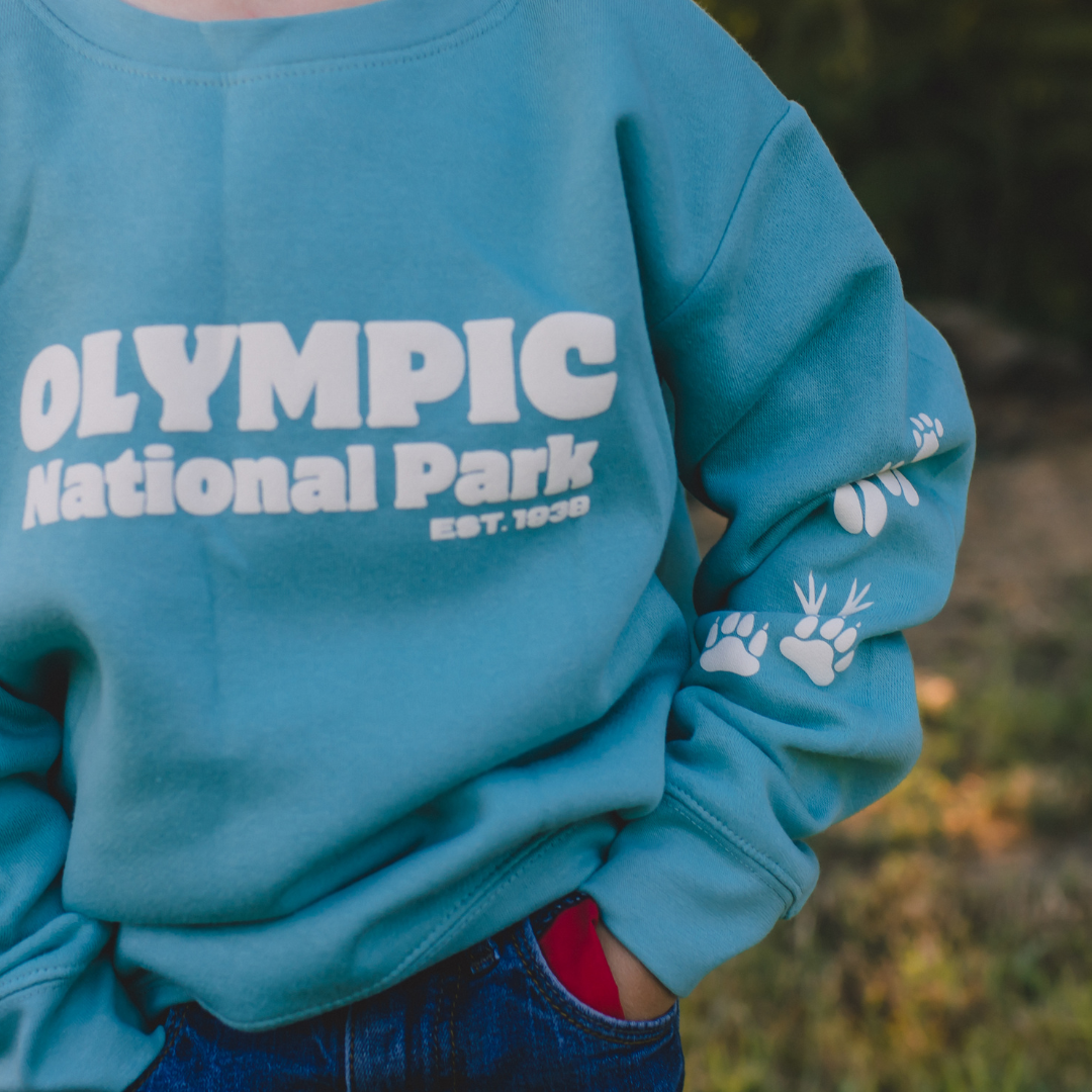 Olympic National Park Toddler & Youth Sweatshirt in Teal