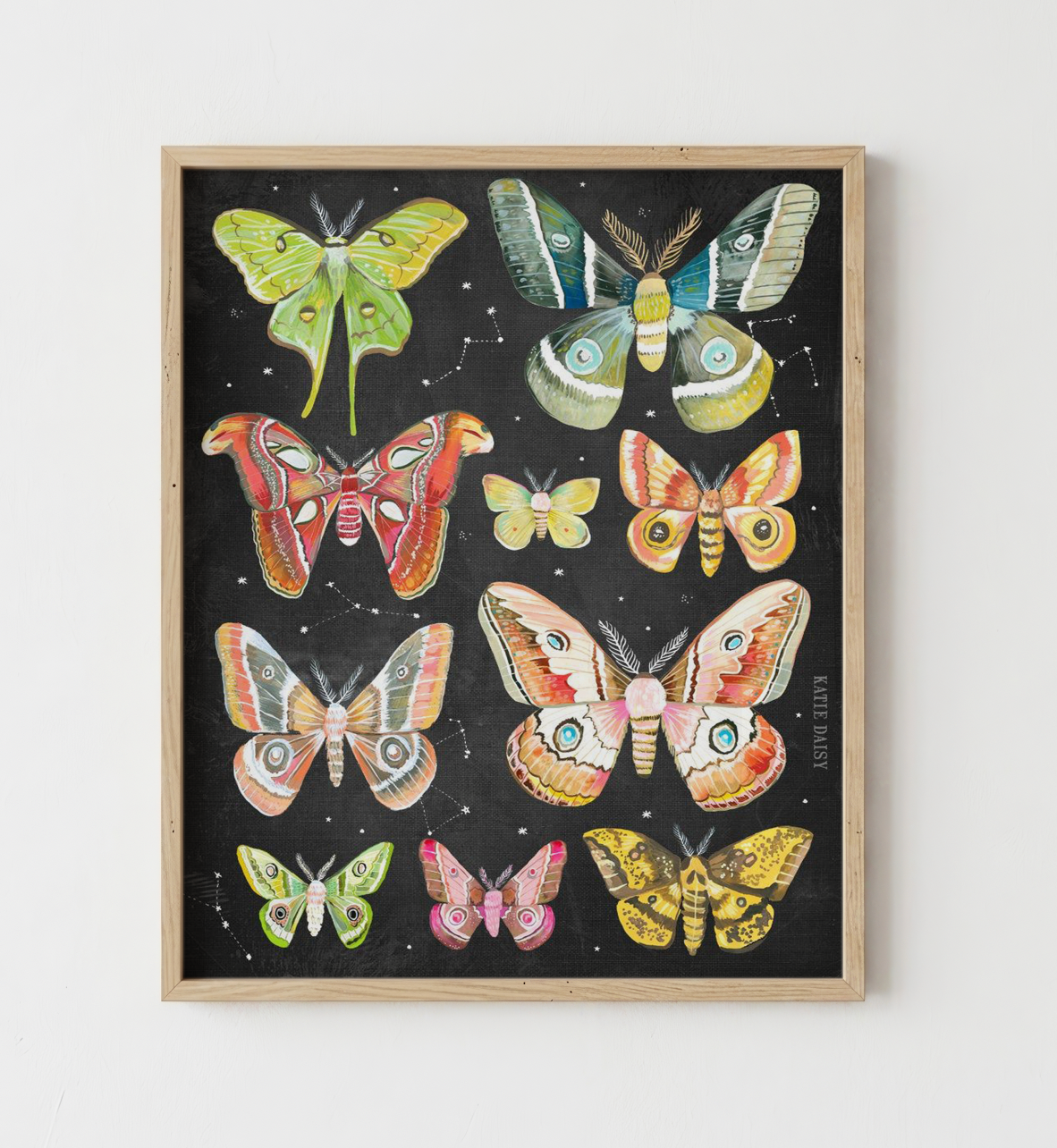 Moth Chart Print