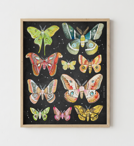 Moth Chart Print