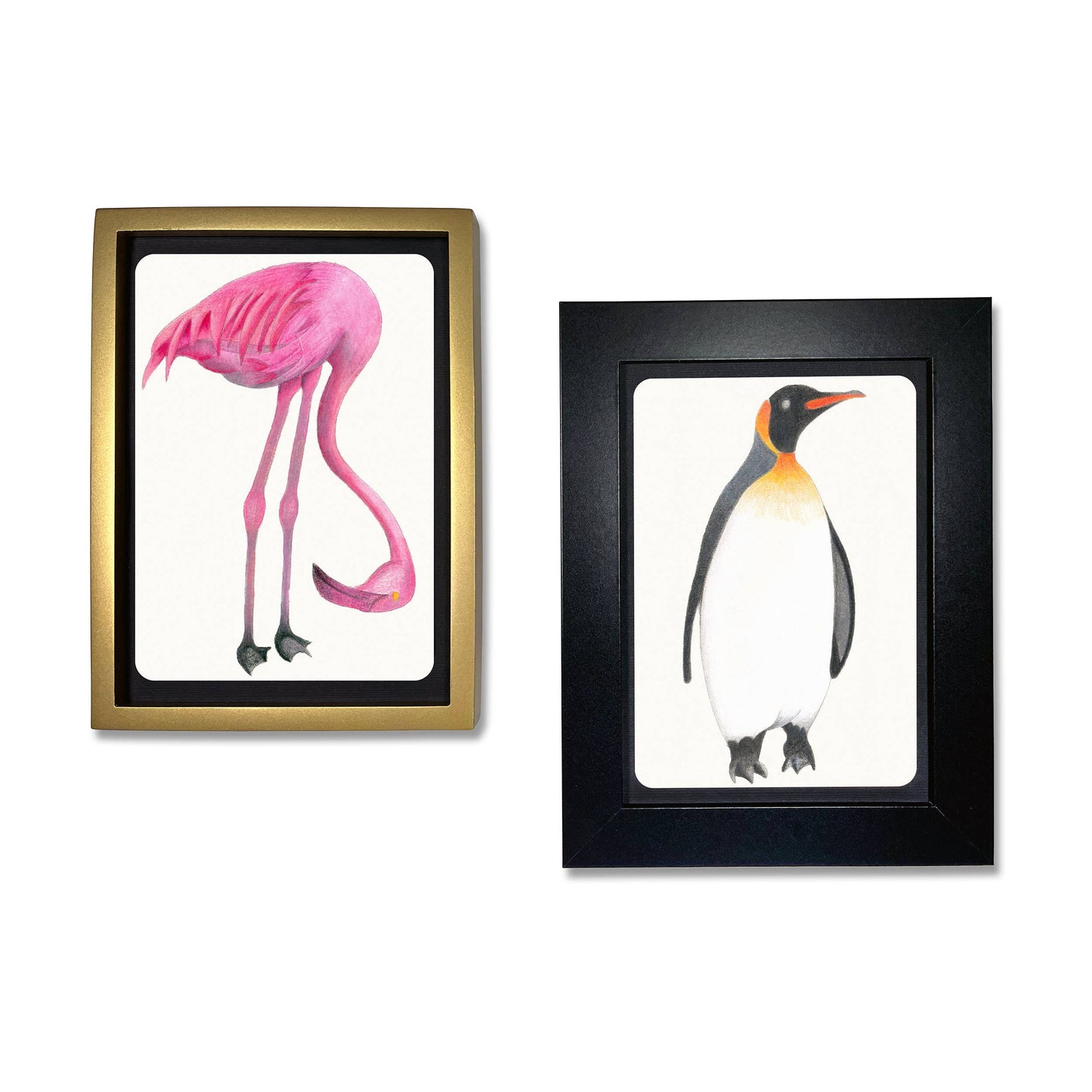Coloring Postcards Bird Designs