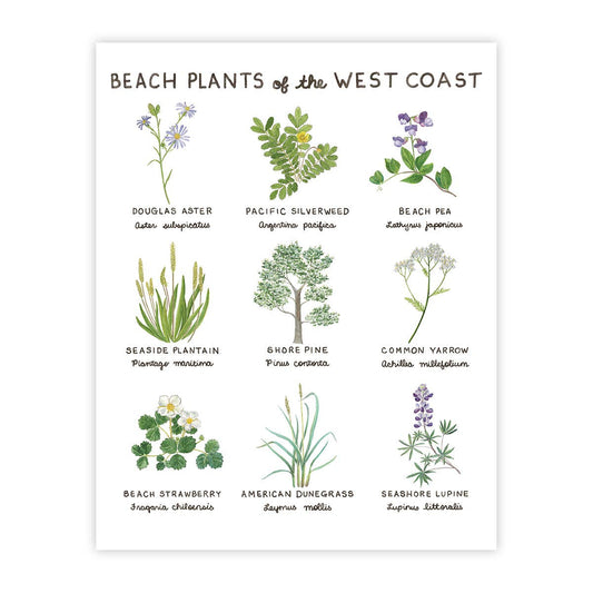 Beach Plants of the West Coast