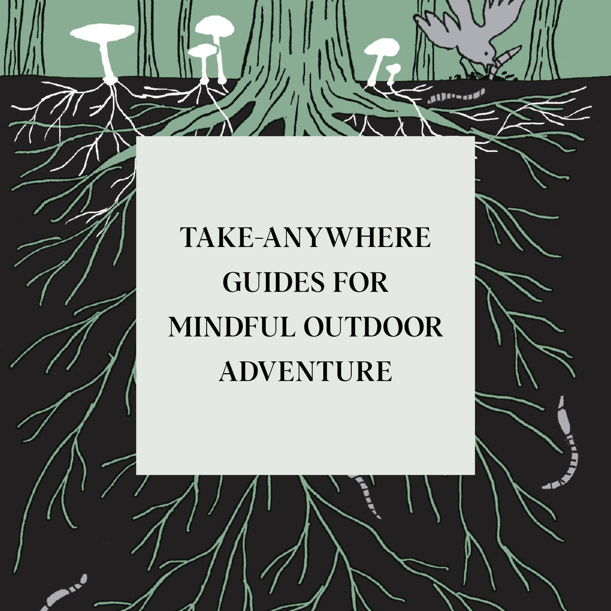Pocket Nature: Mushroom Hunting