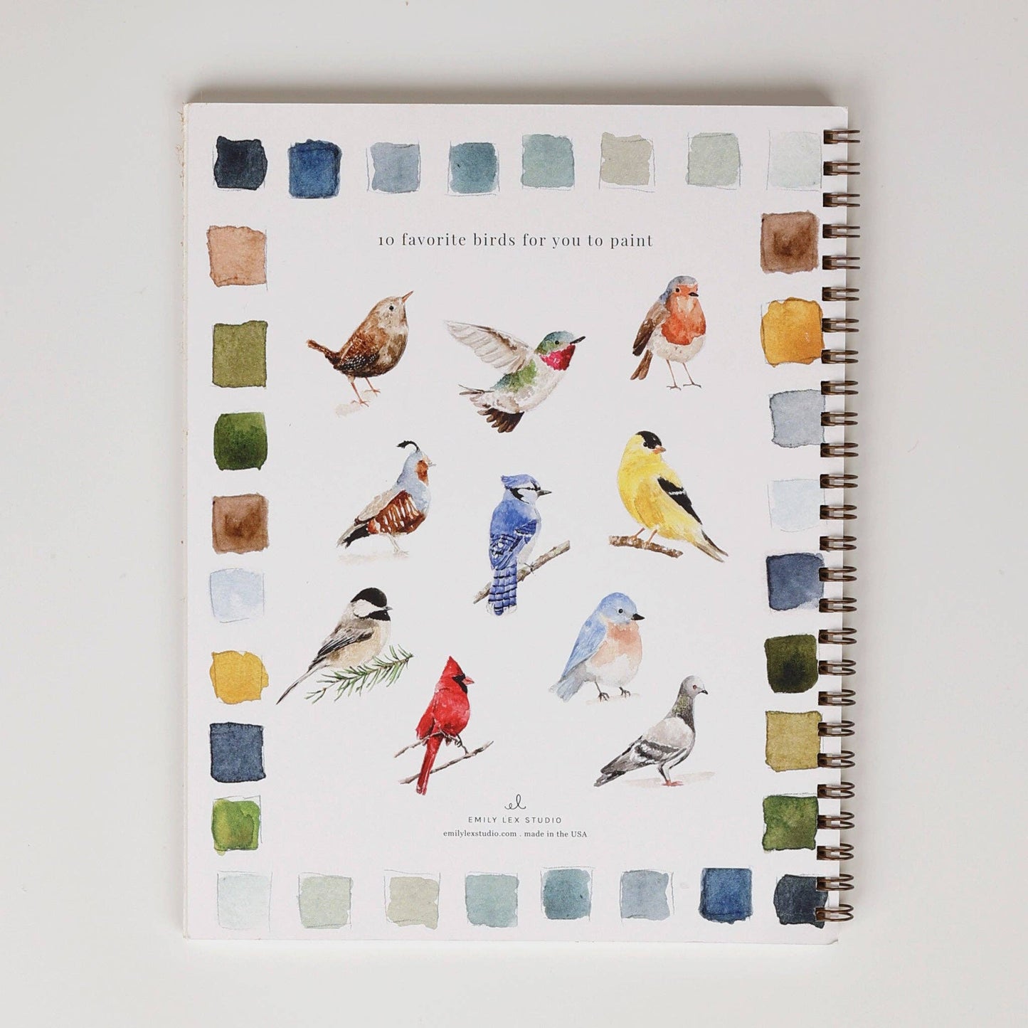 Birds Watercolor Workbook