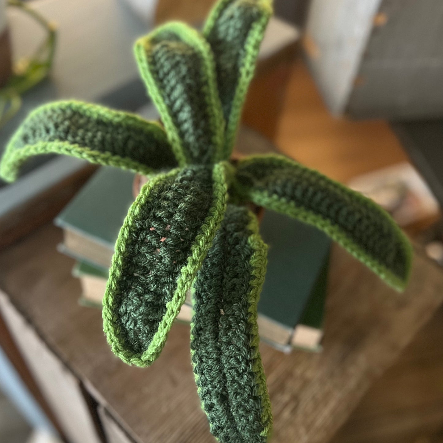Crocheted Potted Snake Plant