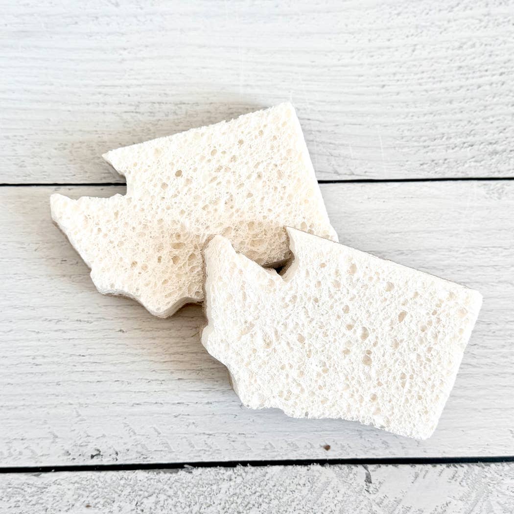 Washington State Scrubby Sponge