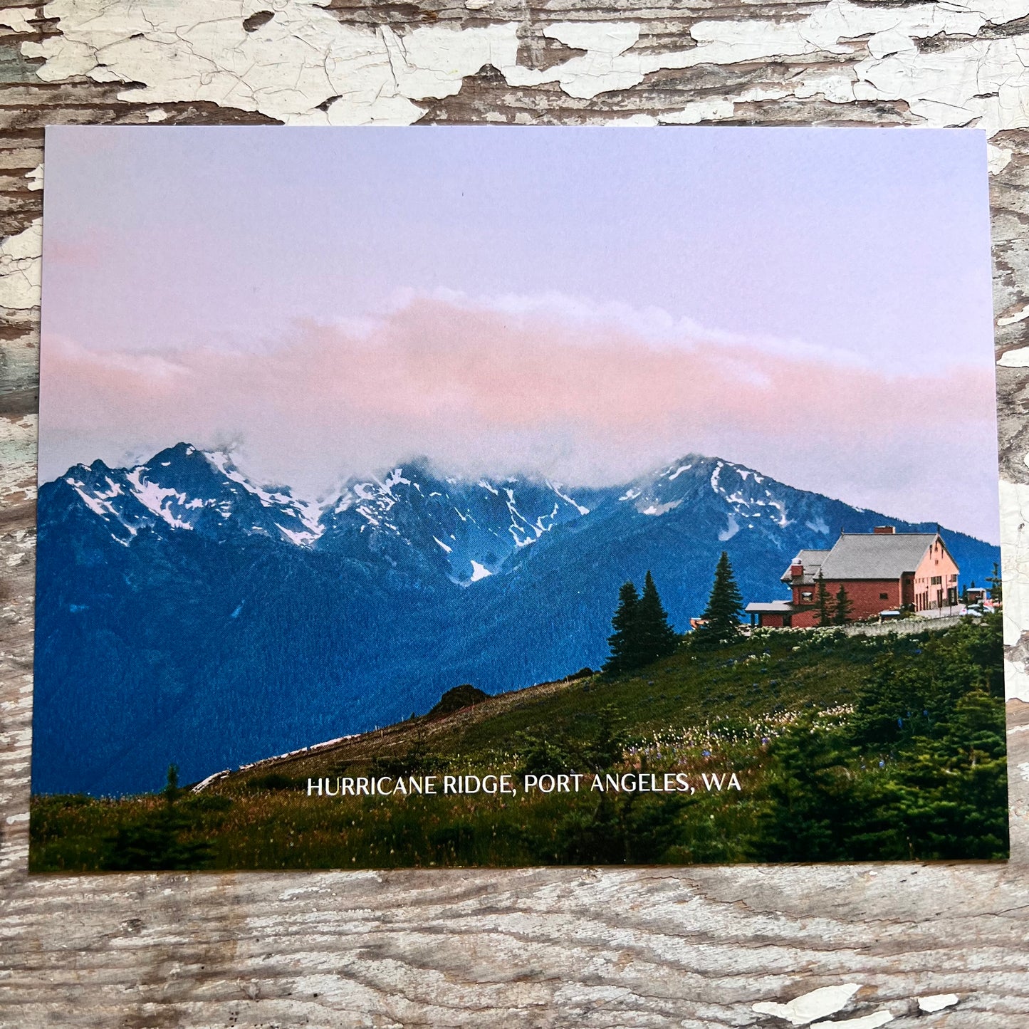 Hurricane Ridge Lodge Postcard