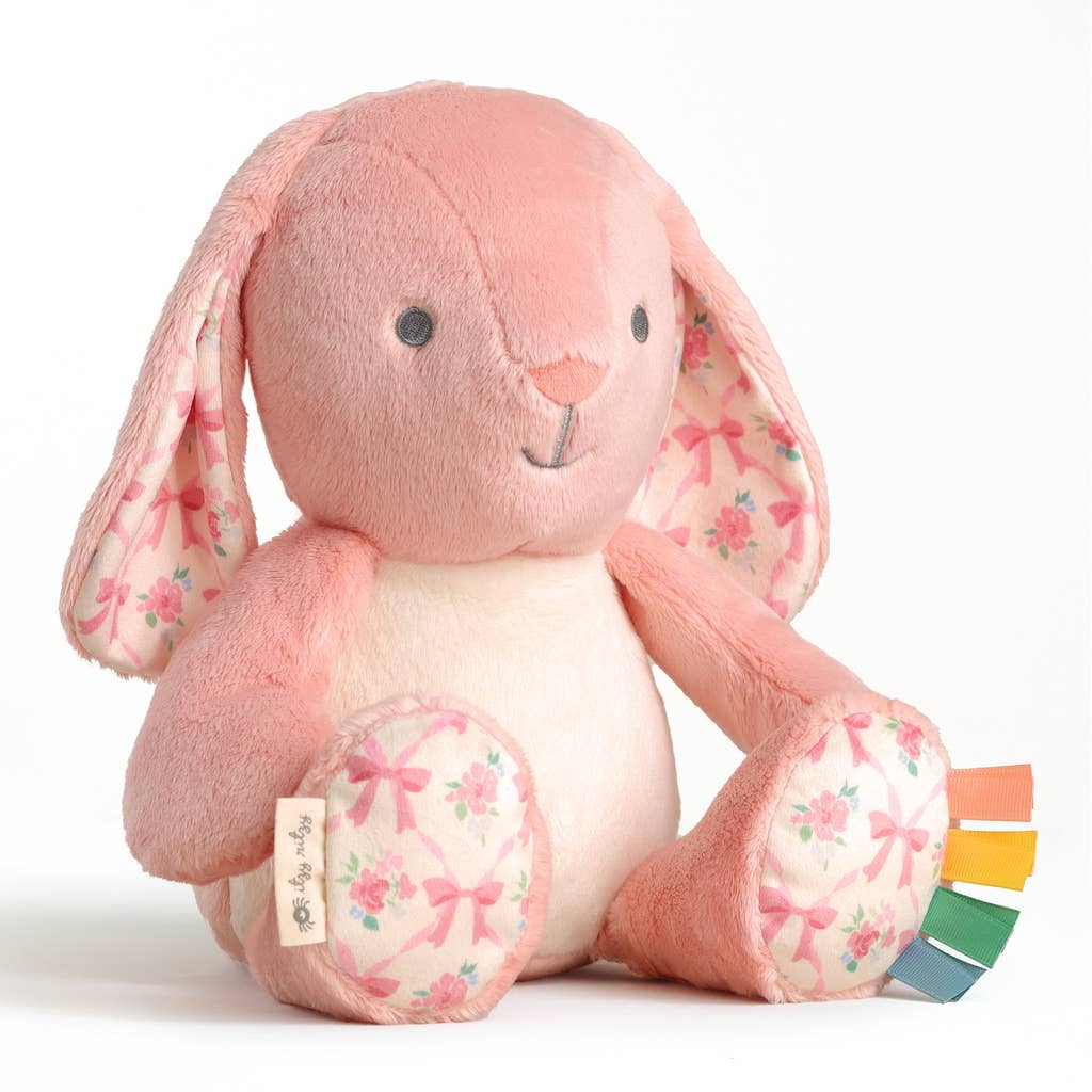 *NEW* Sweetie Snuggles™ Plush: Fox
