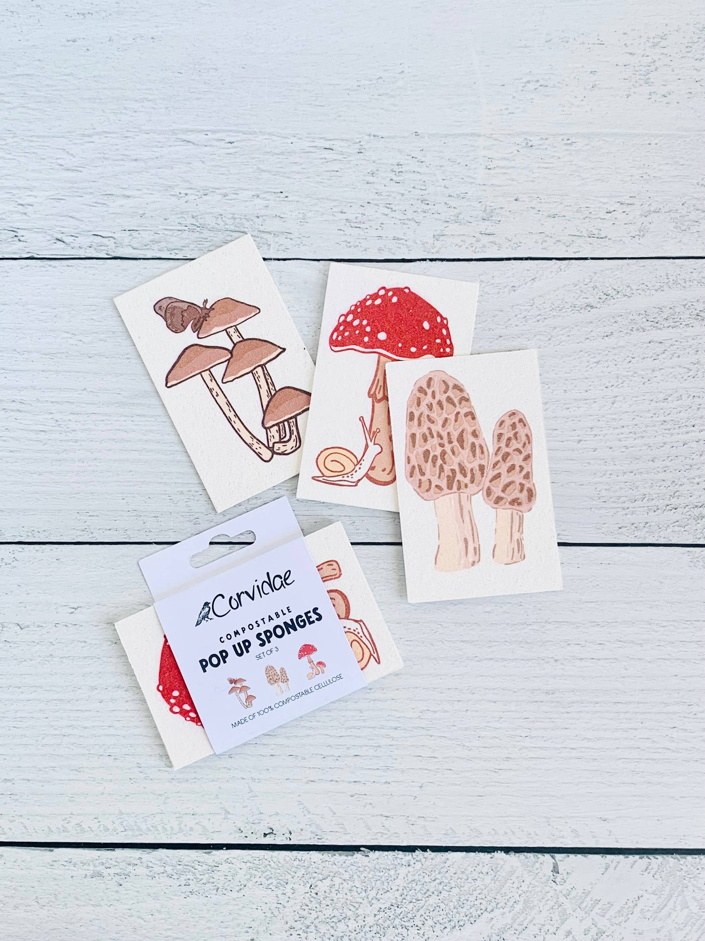 Mushroom Compostable Pop Up Sponges - set of 3