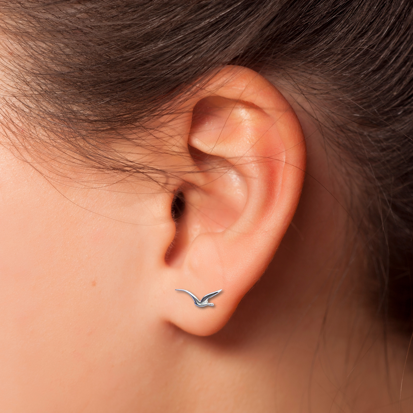 Seagull Earrings