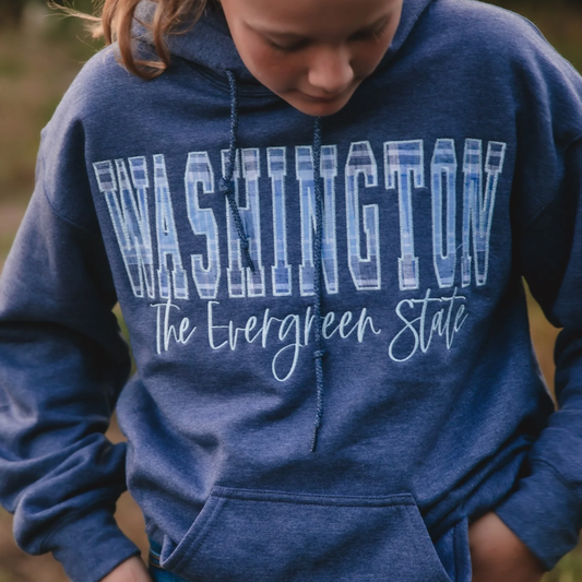 Washington Embroidered Hoodie Heathered Blue