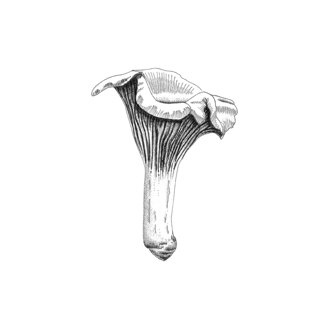 Mini Cards - Set of 4