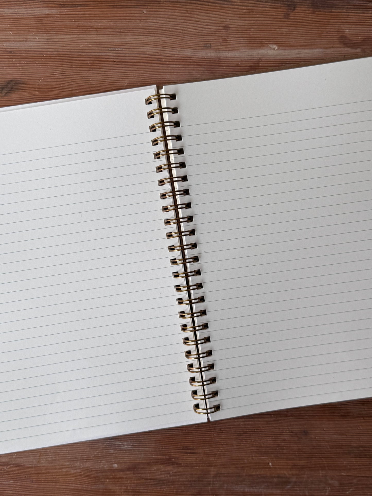 Olympic National Park Journal