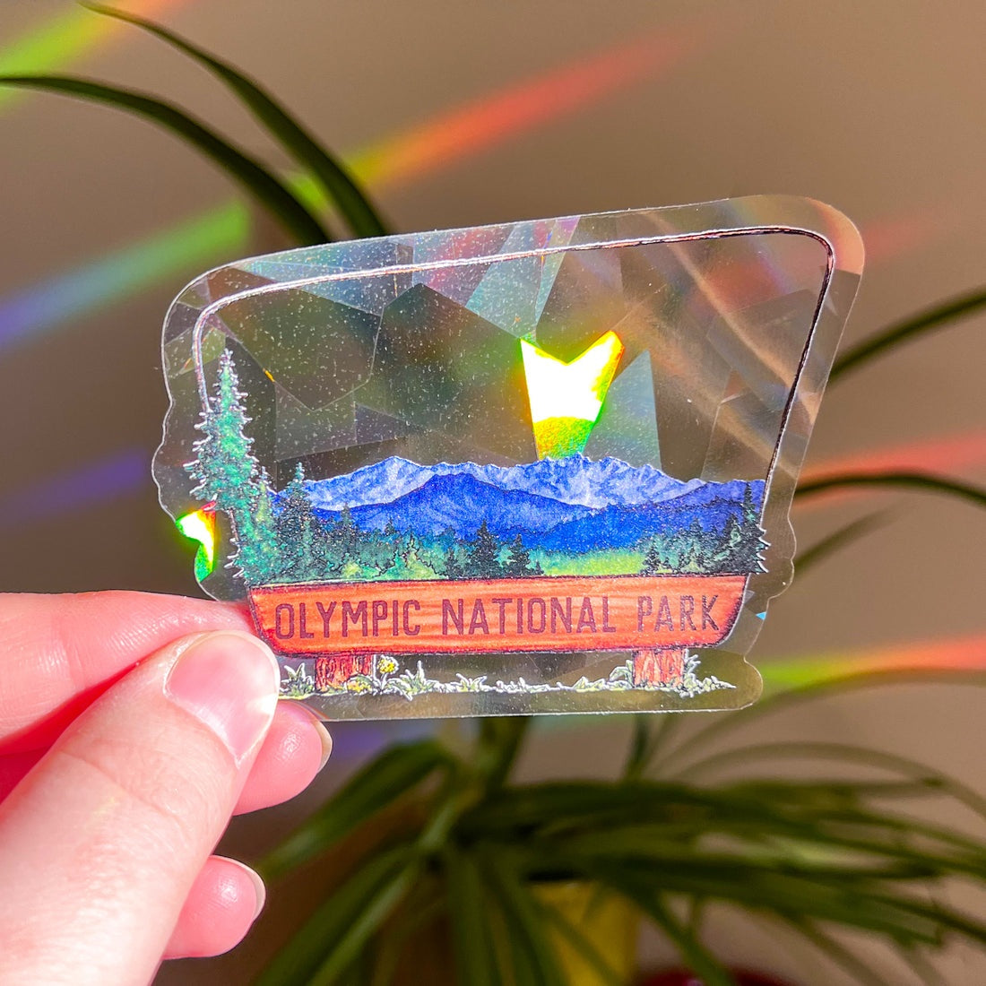 Olympic National Park Suncatcher Sticker