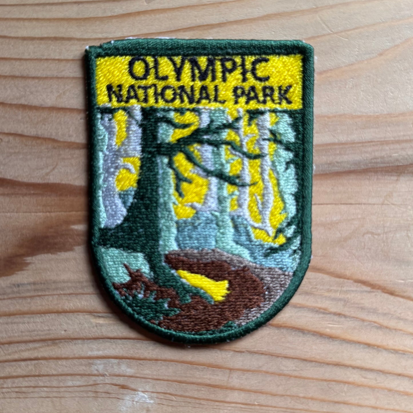 Olympic National Park Forest Patch