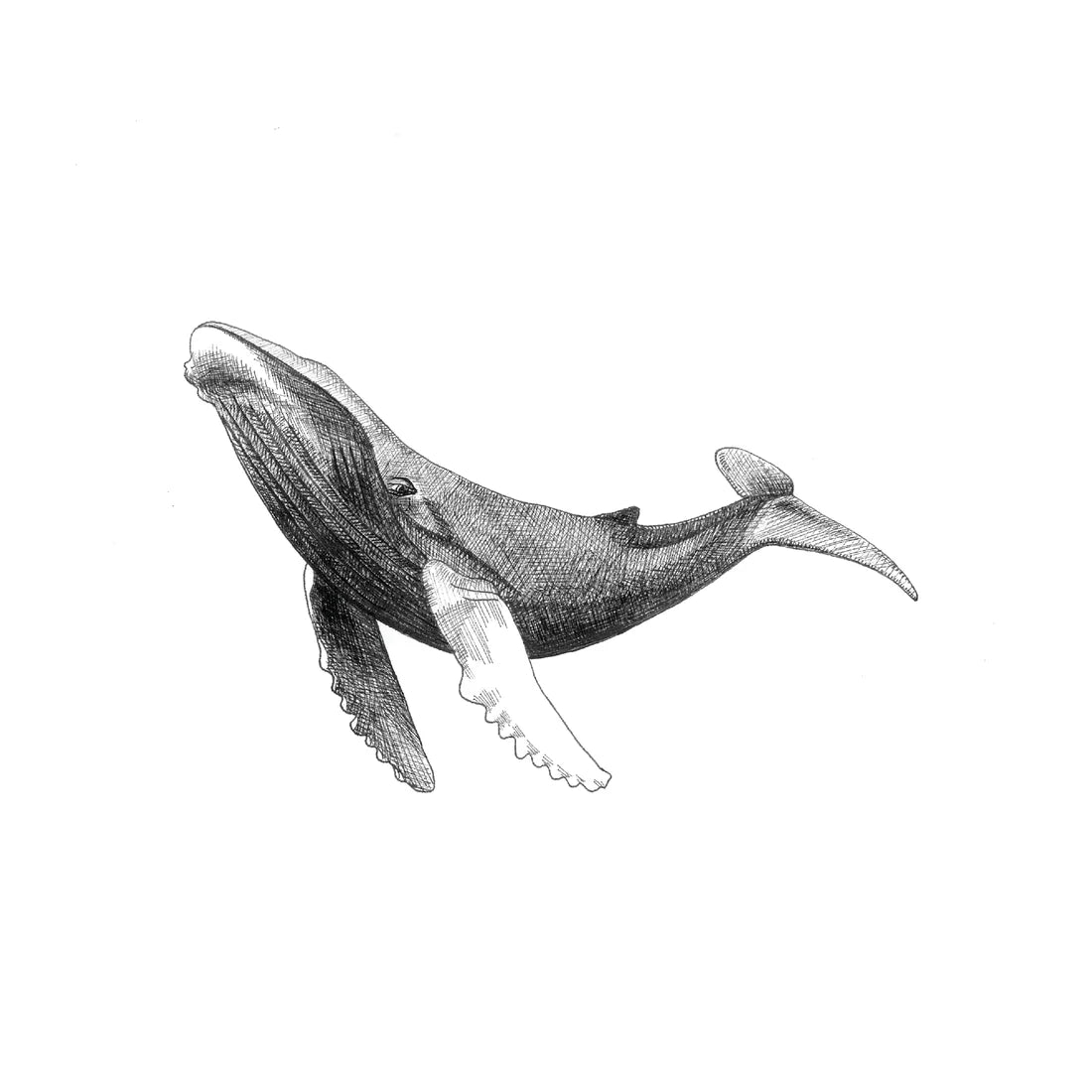 Mini Cards - Set of 4