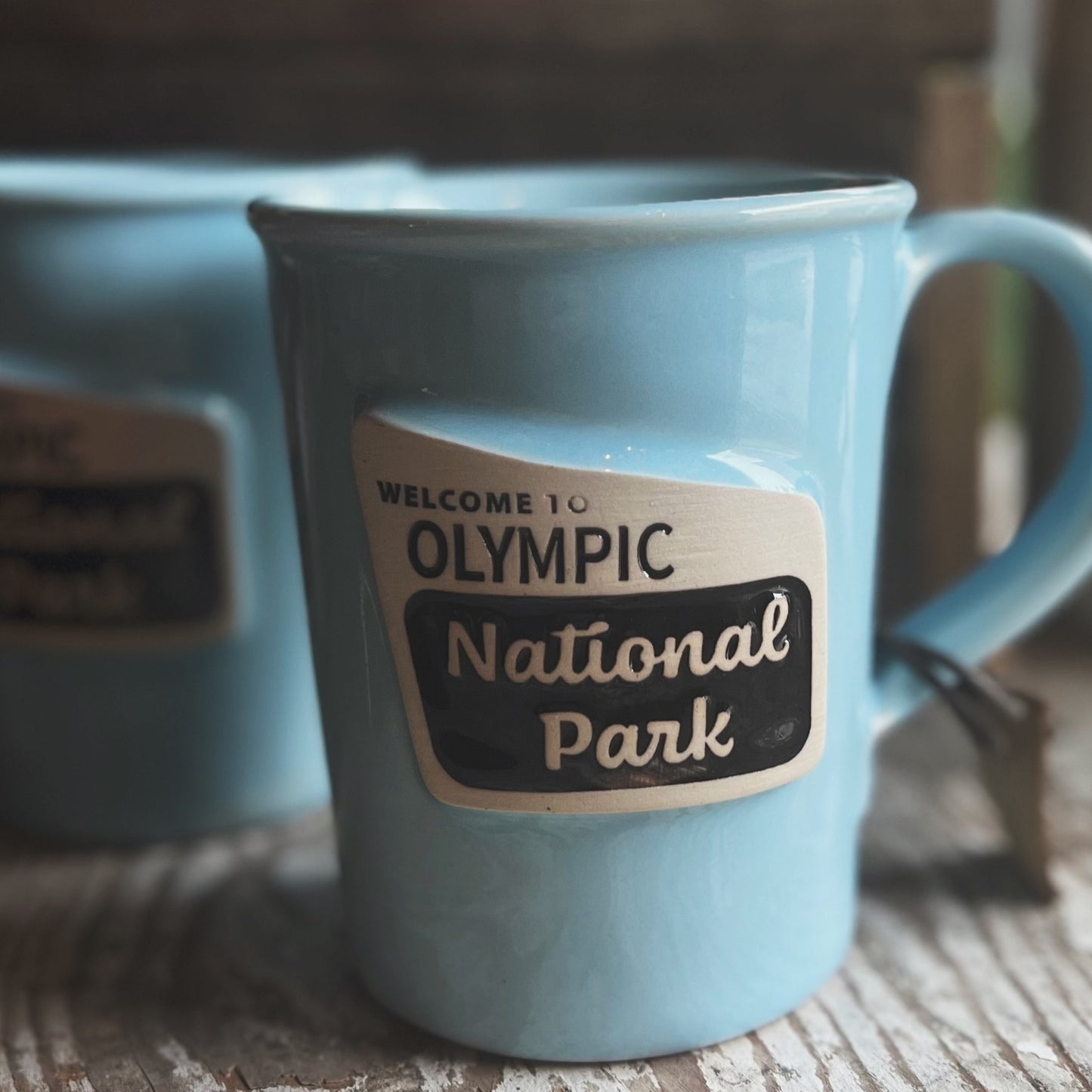 Olympic National Park Pottery Mug