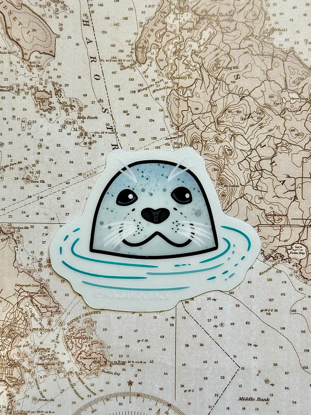 Harbor Seal Noggin Sticker