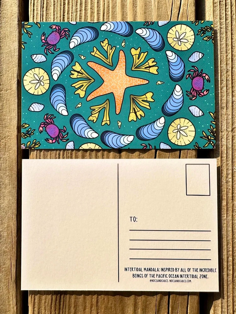 Pacific Intertidal Mandala Postcard