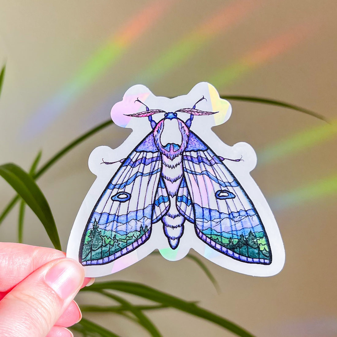 Mountain Moth Suncatcher Sticker
