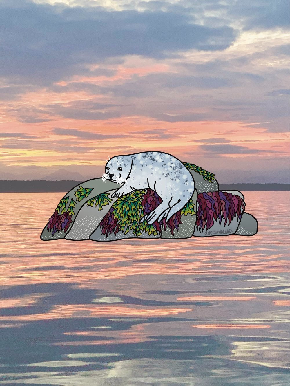 Harbor Seal Sticker