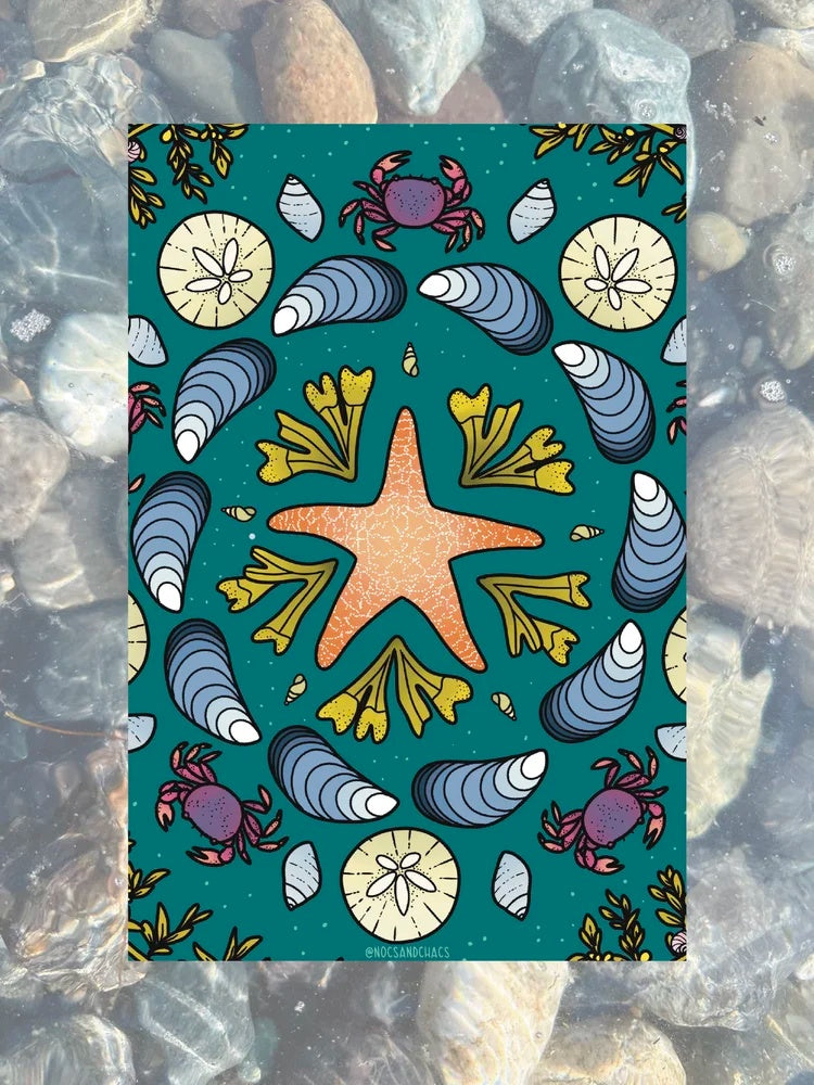Pacific Intertidal Mandala Postcard