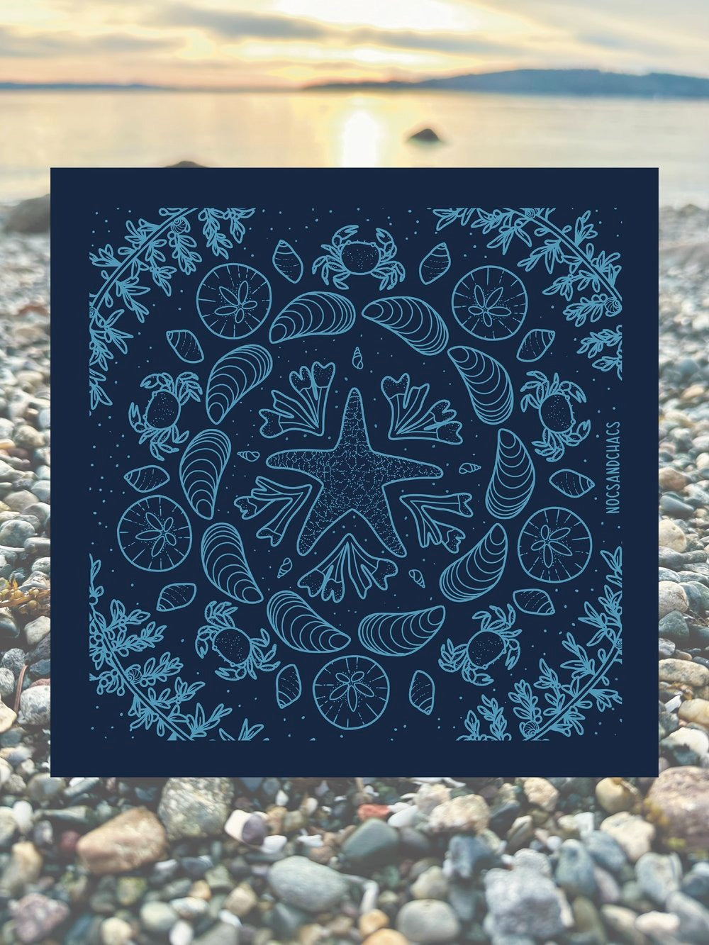 Pacific Intertidal Bandana