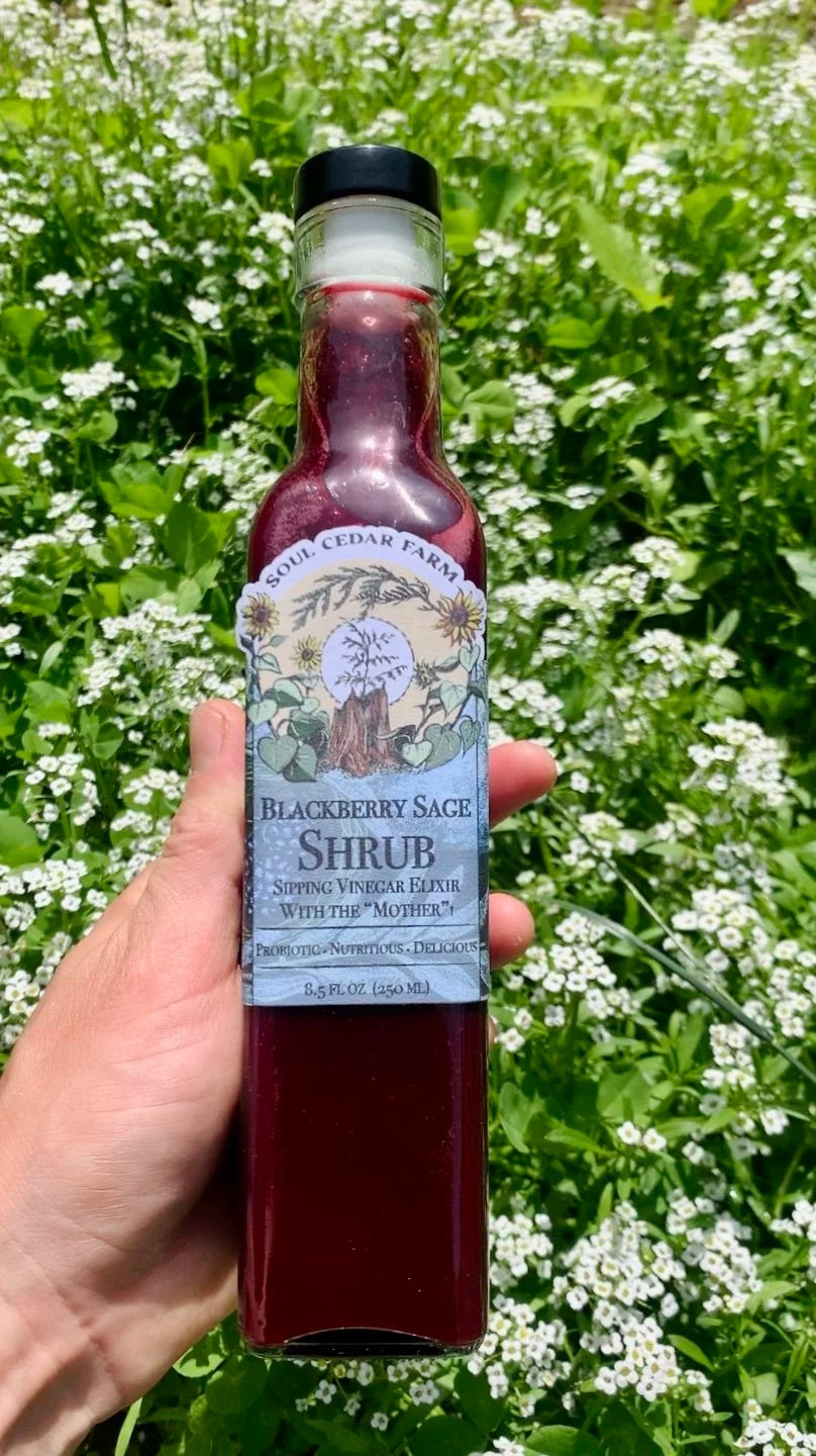 Blackberry Sage Shrub