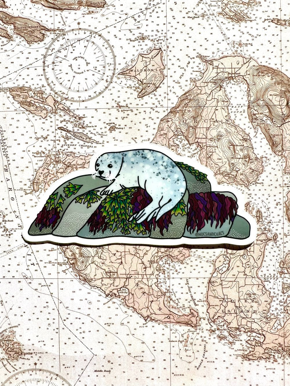 Harbor Seal Sticker