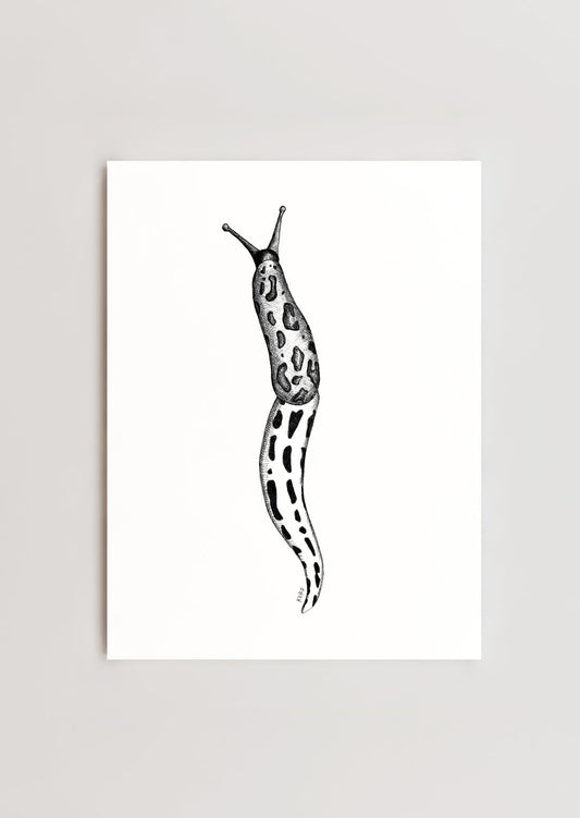 Leopard Slug Print 8x10
