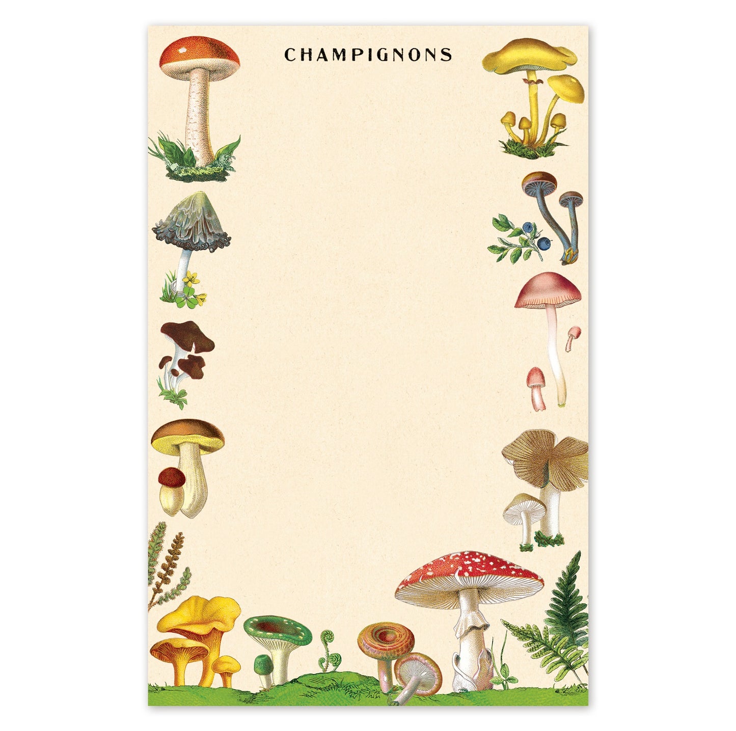 Mushroom Notepad