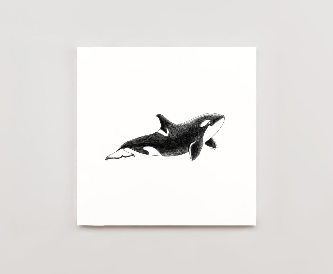 Orca Print 8x8