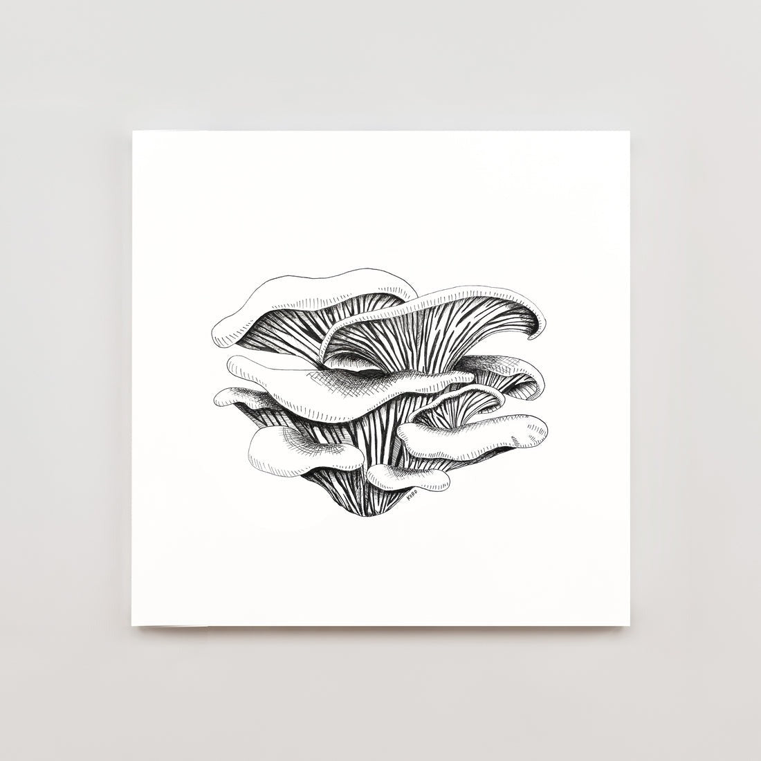 Oyster Mushroom Print 8x10