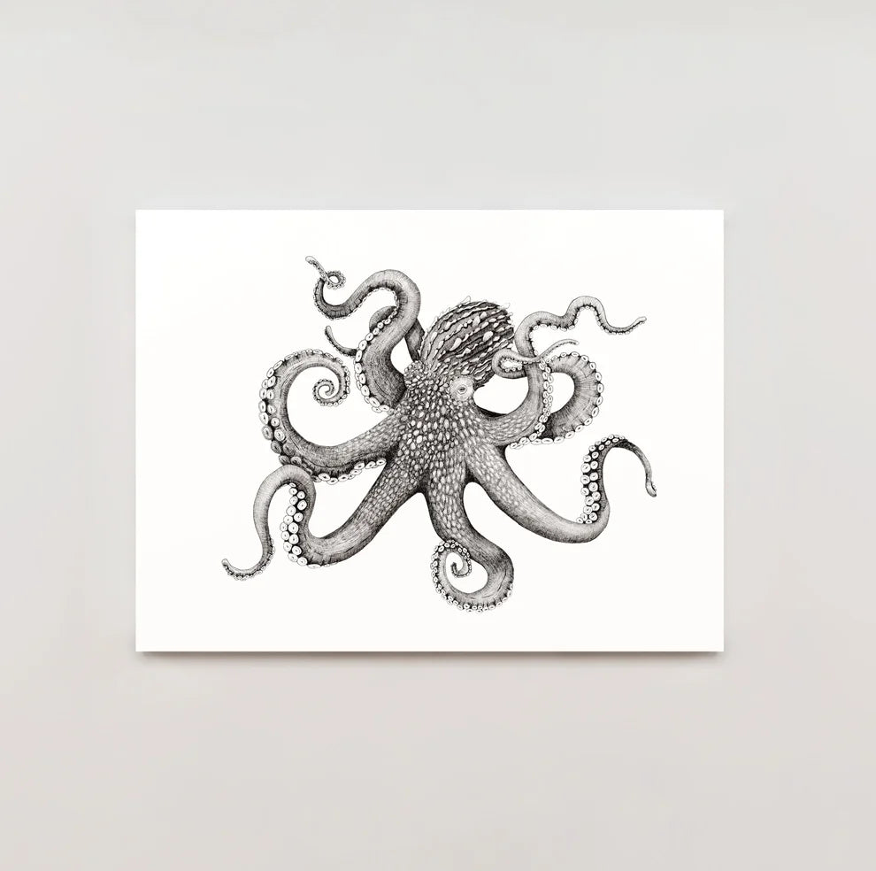 Giant Pacific Octopus Print
